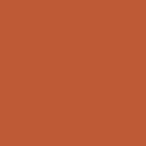 Tru-Color 4038 Matte Aged Brick High Performance Spray Paint 4.5oz
