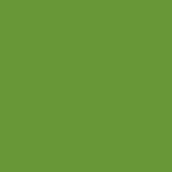 Tru-Color 4039 Zinc Chromate High Performance Spray Paint 4.5oz