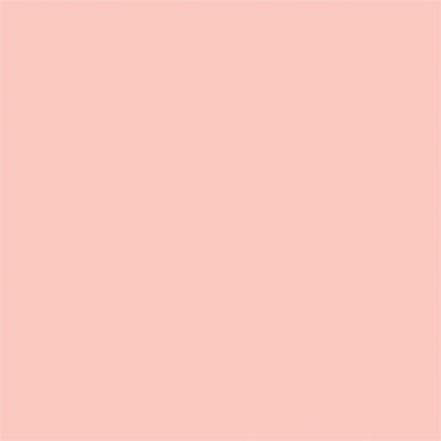 Tru-Color 423 Matte Rose Stucco 1 oz. Acrylic Model Paint