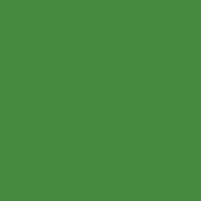 Tru-Color 503 High Gloss Sublime Green, 1 oz. Acrylic Model Paint