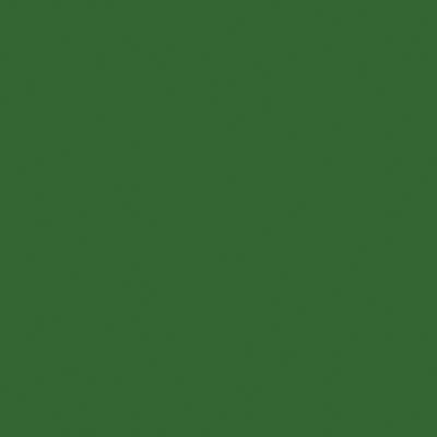 Tru-Color 519 High Gloss Sassy Grass Green, 1 oz. Acrylic Model Paint