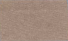 Tru-Color 666 Metallic Light Gold 1 oz. Acrylic Model Paint
