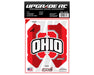 UpGrade RC 14190 Chassis Protector for Traxxas® Slash® 4x4 (Ohio)