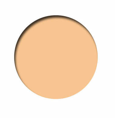 Vallejo 71.076 Skin Tone Model Air 17ml Bottle