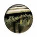 Vallejo 73.825 Crushed Grass Weathering Effect 40ml Bottle