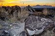 Wimberley Puzzle Company Bighorn Sheep Hunting | National Parks Puzzle | 250, 500, 1000 Pieces