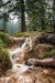 Wimberley Puzzle Company Bluff Springs Waterfall | New Mexico Puzzle | 250, 500, 1000 Pieces