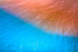 Wimberley Puzzle Company Colores de Isla Blanca | National Parks Puzzle | 250, 500, 1000 Pieces