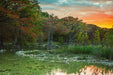 Wimberley Puzzle Company Frio At Dawn | Landscape Puzzle | 250, 500, 1000 Pieces