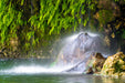 Wimberley Puzzle Company Krause Springs, Splash | Waterfall Puzzle | 250, 500, 1000 Pieces
