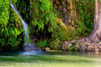 Wimberley Puzzle Company Krause Springs, The Swimming Hole | Waterfall Puzzle | 250, 500, 1000 Pieces