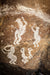 Wimberley Puzzle Company New Mexico Petroglyphs | National Parks Puzzle | 250, 500, 1000 Pieces