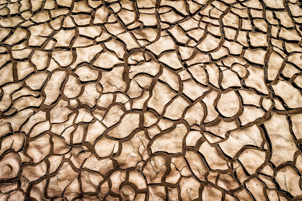 Wimberley Puzzle Company Parched Earth | National Parks Puzzle | 250, 500, 1000 Pieces