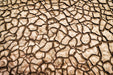 Wimberley Puzzle Company Parched Earth | National Parks Puzzle | 250, 500, 1000 Pieces