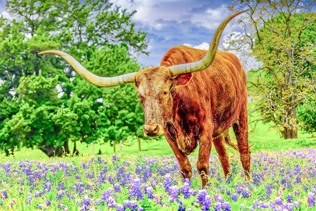 Wimberley Puzzle Company Texas Hill Country Bluebonnets and Longhorns | Texas Puzzle | 250, 500, 1000 Pieces