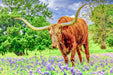 Wimberley Puzzle Company Texas Hill Country Bluebonnets and Longhorns | Texas Puzzle | 250, 500, 1000 Pieces