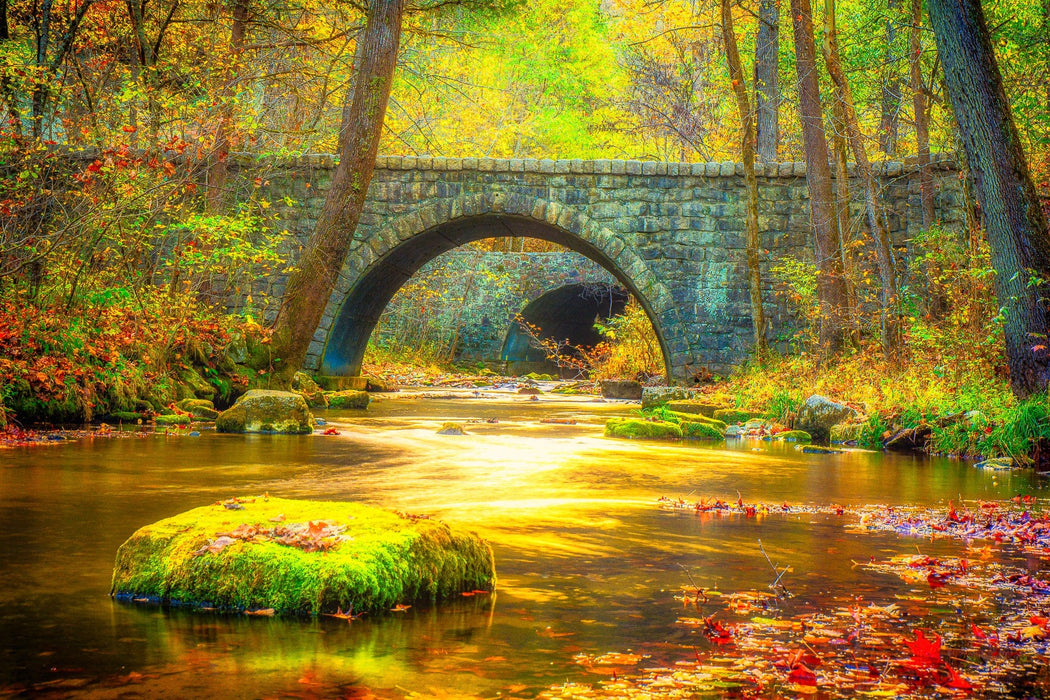 Wimberley Puzzle Company Time is but a Stream | National Parks Puzzle | 250, 500, 1000 Pieces