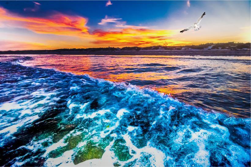 Wimberley Puzzle Company Turn the Tide | National Park Beach Sunset Puzzle | 250, 500, 1000 Pieces