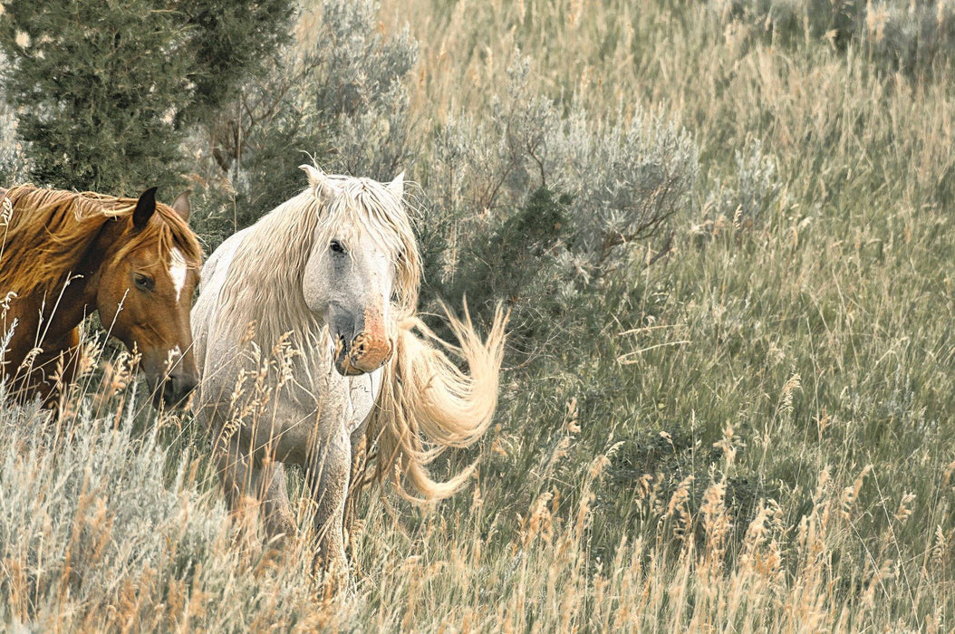 Wimberley Puzzle Company Wild Horse Duo | National Parks Puzzle | 250, 500, 1000 Pieces