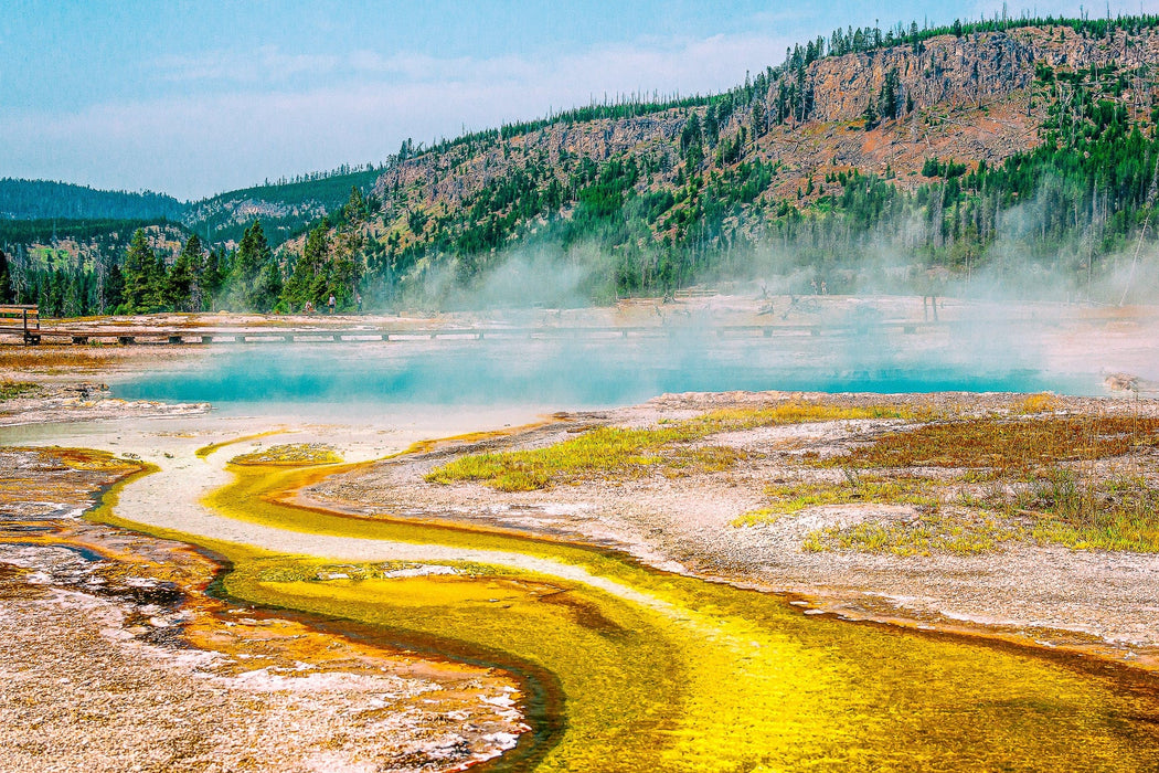 Wimberley Puzzle Company Yellowstone Lower Geyser Basin | Yellowstone National Park Puzzle | 250, 500, 1000 Pieces