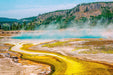 Wimberley Puzzle Company Yellowstone Lower Geyser Basin | Yellowstone National Park Puzzle | 250, 500, 1000 Pieces