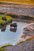 Wimberley Puzzle Company Yellowstone, Morning Drink | Yellowstone National Park Puzzle | 250, 500, 1000 Pieces