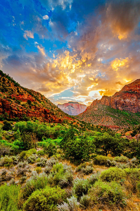 Wimberley Puzzle Company Zion, Golden Hour - National Parks Puzzle | 250, 500, 1000 Pieces