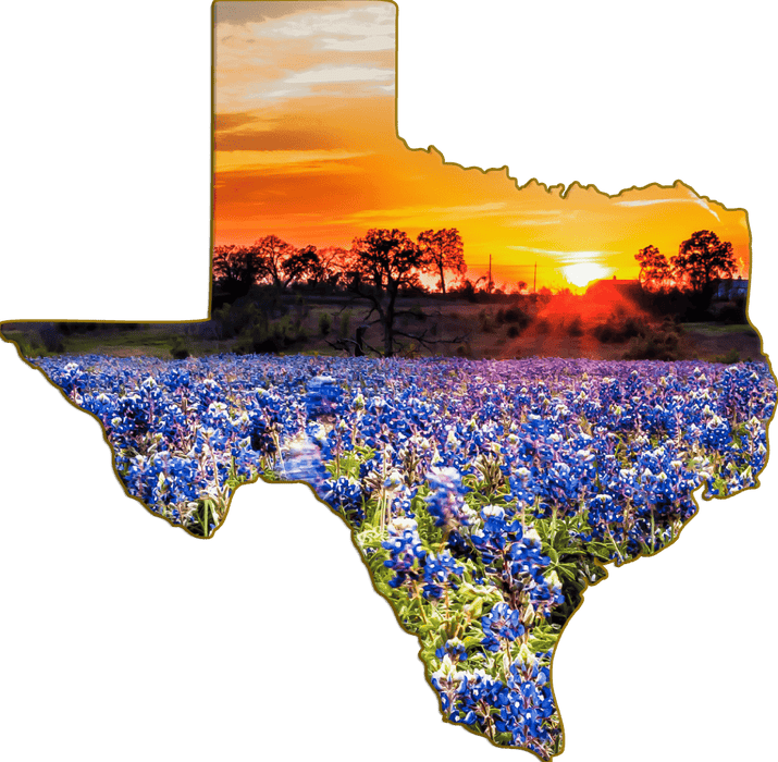 Wimberley Puzzle Company Bluebonnet Sunset | Texas-Shaped Magnet