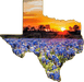 Wimberley Puzzle Company Bluebonnet Sunset | Texas-Shaped Magnet