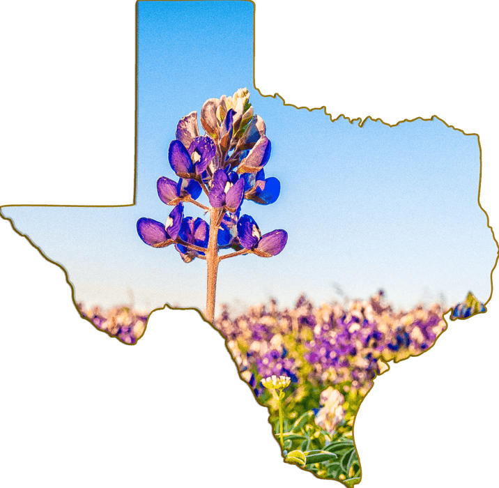 Wimberley Puzzle Company Bluebonnet | Texas-Shaped Magnet