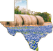 Wimberley Puzzle Company Bluebonnets and Hay Bales | Texas Shaped Magnet