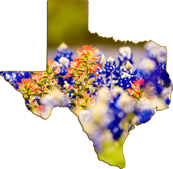 Wimberley Puzzle Company Bluebonnets and Indian Paintbrush | Texas Shaped Magnet