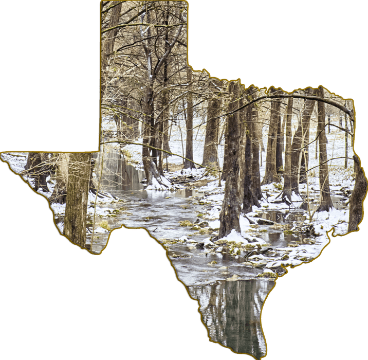 Wimberley Puzzle Company Cypress Creek | Texas-Shaped Magnet