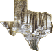 Wimberley Puzzle Company Cypress Creek | Texas-Shaped Magnet