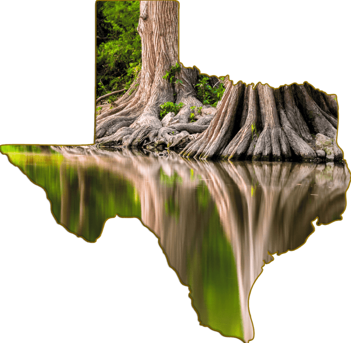 Wimberley Puzzle Company Cypress Tree Roots, Blanco River | Texas-Shaped Magnet