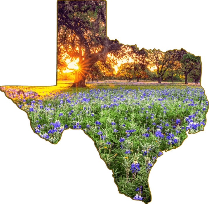 Wimberley Puzzle Company Johnson City Bluebonnets | Texas-Shaped Magnet