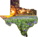 Wimberley Puzzle Company Johnson City Bluebonnets | Texas-Shaped Magnet