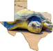 Wimberley Puzzle Company Kemp's Ridley Endangered Sea Turtle | Texas-Shaped Magnet