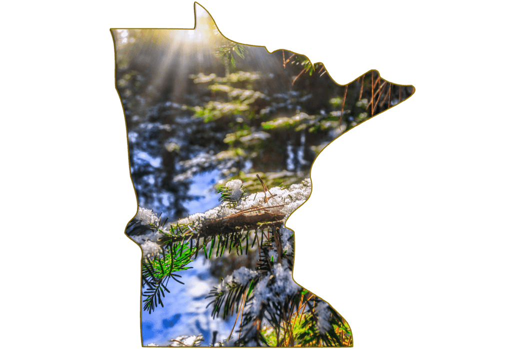 Wimberley Puzzle Company Northwoods Winter | Minnesota-Shaped Jumbo Fridge Magnet