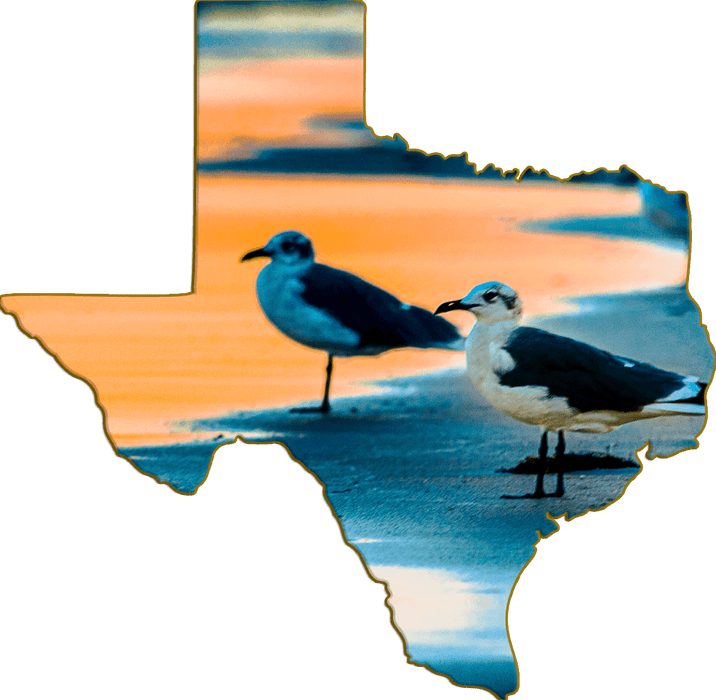 Wimberley Puzzle Company Seagulls Senset | Texas-Shaped Magnet