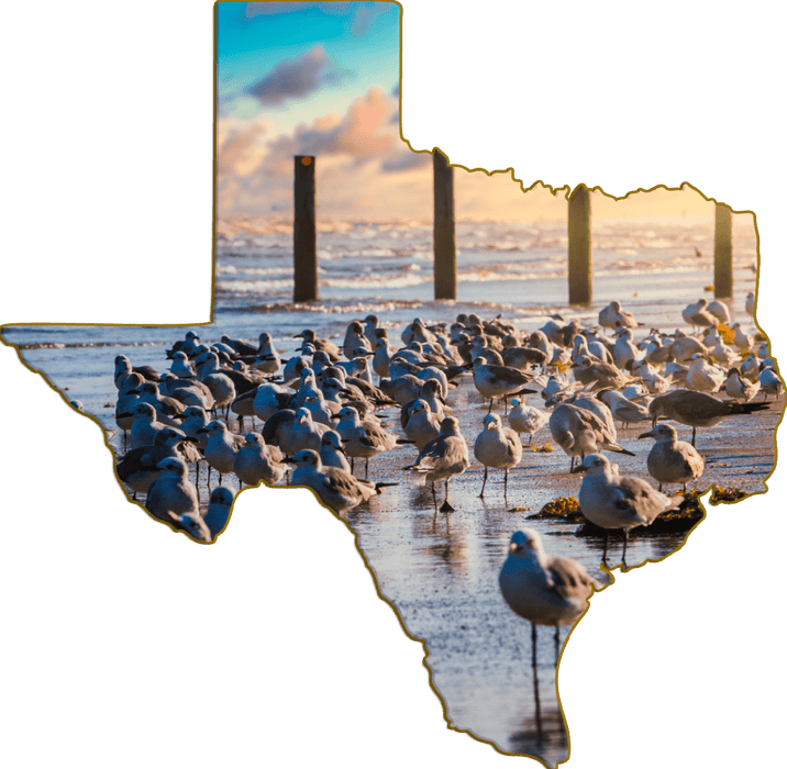Wimberley Puzzle Company Seagulls | Texas-Shaped Magnet