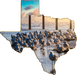 Wimberley Puzzle Company Seagulls | Texas-Shaped Magnet
