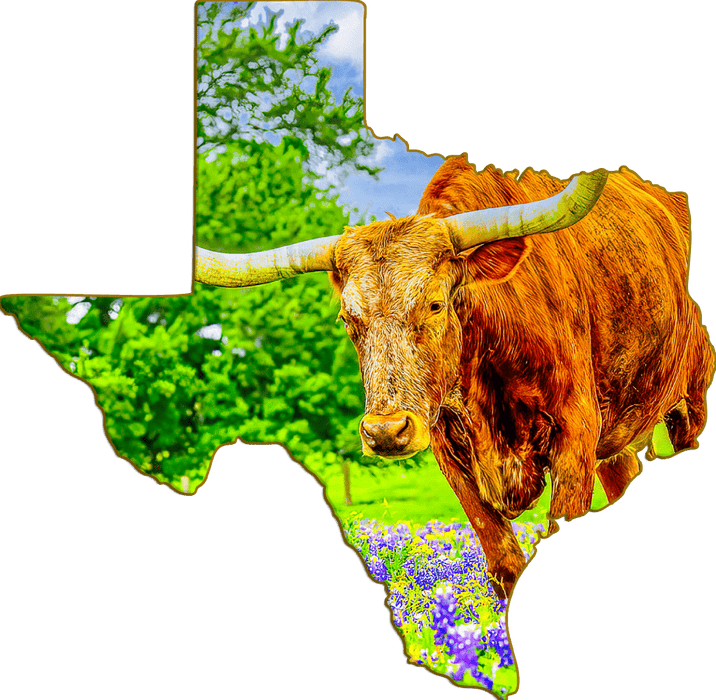 Wimberley Puzzle Company Texas Longhorn and Bluebonnets | Texas-Shaped Magnet