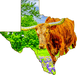 Wimberley Puzzle Company Texas Longhorn and Bluebonnets | Texas-Shaped Magnet