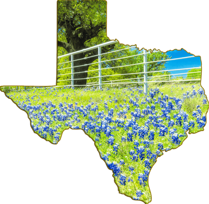 Wimberley Puzzle Company Texas Roadside Bluebonnet Field | Texas-Shaped Magnet