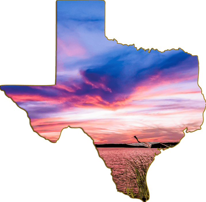 Wimberley Puzzle Company Tricolor Heron | Texas-Shaped Magnet