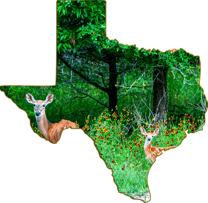 Wimberley Puzzle Company Whitetail and Wildflowers | Texas-Shaped Magnet