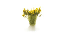 Woodland FS776 Peel 'n' Place Tufts Light Green Tipped Prairie Grass