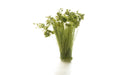 Woodland FS777 Peel 'n' Place Tufts Medium Green Tipped Prairie Grass