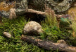 Woodland Scenics G6423 All Game Terrain Soil Base Layer